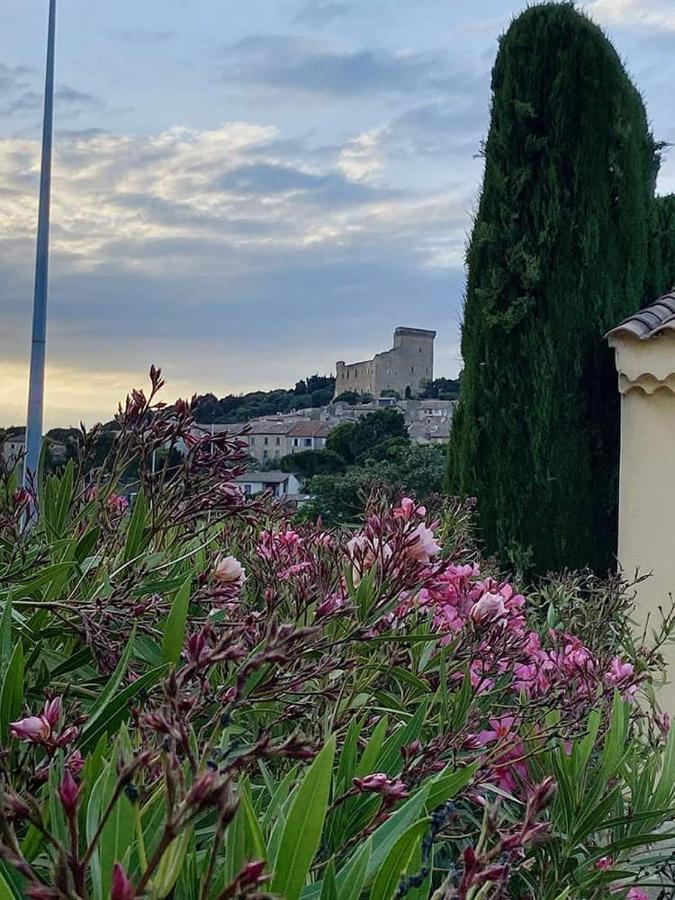 Villa Syrah Châteauneuf-du-Pape Extérieur photo